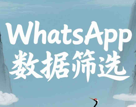 提升订单转化率！WhatsApp高质量客户筛选完整攻略