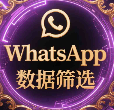 如何快速筛出中产高净值WhatsApp用户？实战方法详解